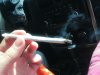 shelbyted2012 131.jpg