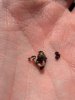 2013-02-15_12-46-39_207.jpg