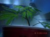 DSCN1563.jpg