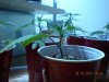 DSCN1569.jpg