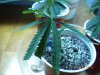DSCN1581.jpg