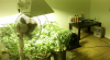 Grow Overview.png
