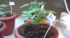 20130218005601819.jpg