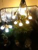 IMG_0222.jpg IMG_0222.jpg