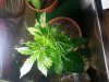 20130218_005935.jpg