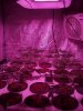 2013-02-19_17-04-01_681.jpg