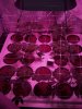 2013-02-19_17-04-38_181.jpg