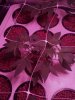 2013-02-19_17-04-59_790.jpg