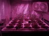 2013-02-19_17-06-22_744.jpg