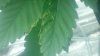 2013-02-19_18-07-43_605.jpg