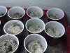 2013-02-07_18-45-37_859.jpg