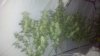 2013-02-20_09-16-15_630.jpg