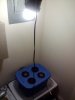 CAM00441.jpg