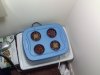 CAM00442.jpg