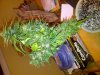 IMG-20130222-00074.jpg