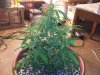 20130223_175916.jpg