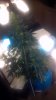 2013-02-23_01-36-27_546.jpg 2013-02-23_01-36-27_546.jpg