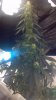 2013-02-24_01-34-01_776.jpg 2013-02-24_01-34-01_776.jpg