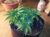 20130223_181822.jpg