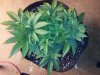 20130223_181818.jpg