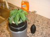 DSC00549.jpg