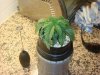 DSC00548.jpg