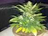 2013-02-23_22-56-53_504.jpg