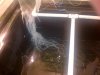 IMG-20130224-00107.jpg