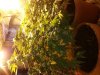 20130225_112157.jpg