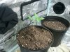 2013-02-23_13.56.54_2.jpg