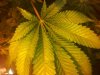 20130225_171404.jpg
