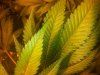 20130225_171455.jpg