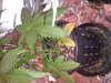 2013-02-25 14.10.51.jpg