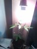WP_000153.jpg