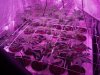 2013-02-26_17-45-44_861.jpg