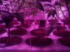 2013-02-26_17-47-03_486.jpg