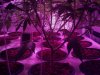 2013-02-26_17-47-26_267.jpg
