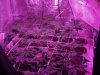 2013-02-26_17-48-00_263.jpg