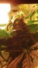 2012-01-30_00-36-10_483.jpg