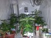 20130227_122339.jpg