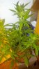 2013-02-26_21-41-29_192.jpg