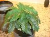 DSC00558.jpg
