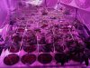 2013-02-28_19-18-13_44.jpg