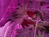 2013-02-28_19-18-26_435.jpg