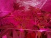2013-02-28_19-18-35_317.jpg