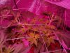 2013-02-28_19-18-41_590.jpg