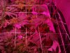 2013-02-28_19-18-51_180.jpg