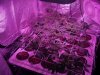2013-02-28_19-19-27_63.jpg