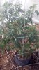 2013-03-01_11-04-43_578.jpg 2013-03-01_11-04-43_578.jpg