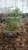 2013-03-01_11-06-43_848.jpg 2013-03-01_11-06-43_848.jpg